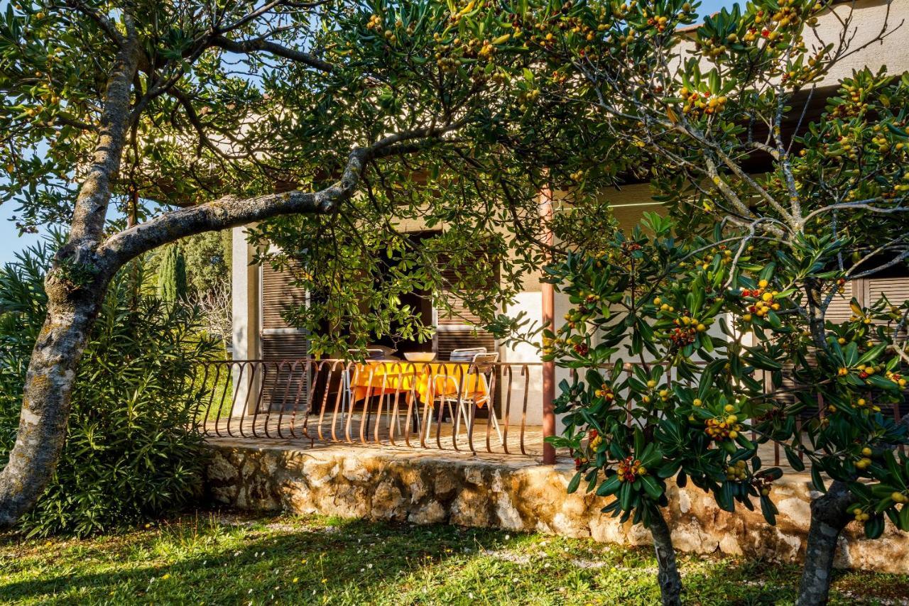 Helios Sunny Apartments By Valamar Stari Grad  Εξωτερικό φωτογραφία